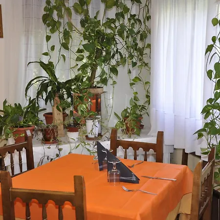 Hotel Castillo D'acher Siresa